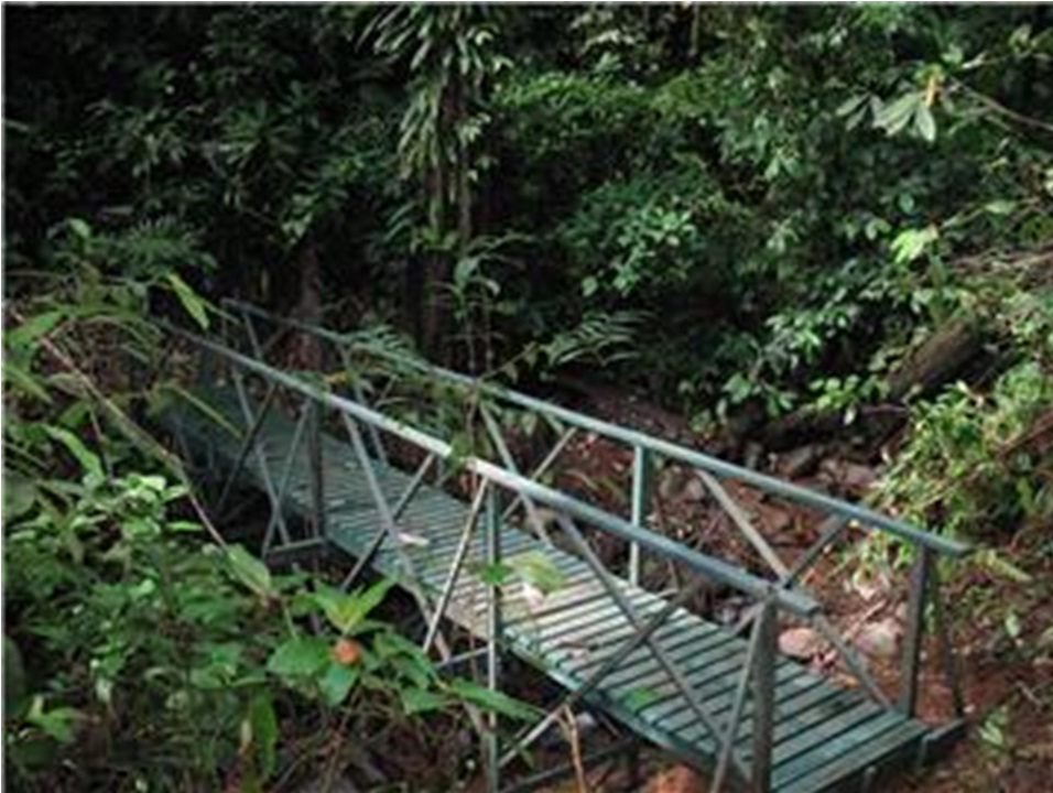 puente en madera plástica para cruzar ríos riachuelos caños puentes en maderas plásticas maderplast puente sobre distrito de riego agrícola caño rio riachuelo quebrada lago pantano humedales 04 puente en madera plástica para cruzar ríos riachuelos caños puentes en maderas plásticas maderplast puente sobre distrito de riego agrícola caño rio riachuelo quebrada lago pantano humedales 04
